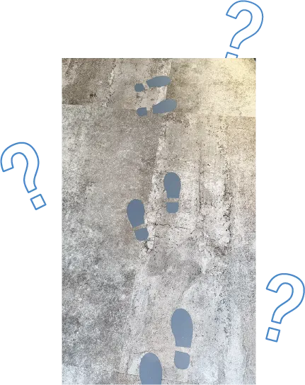 店内のトリビア